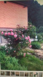  2-          211259755  7