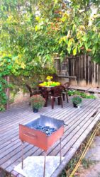 ������ ������� ������� ���� 14