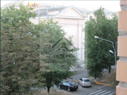 ���� 1-�� ��������� �������� � ������! �11524888 ���� 13