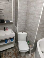   , ,  (),   6