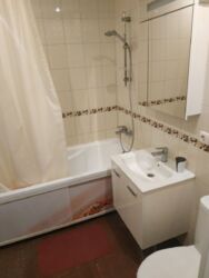 Оренда 1 кімнатної квартири в Центрі фото 8 Оренда 1 кімнатної квартири в Центрі фото 8