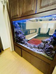 Здається квартира Полтавська, Полтава фото 8 Здається квартира Полтавська, Полтава фото 8