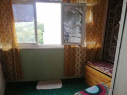  1-   -2  111476772  2