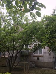 ������� ��� ���� 12