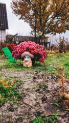 Здам будинок м.Зміїв помісячно та посуточно. фото 23 Здам будинок м.Зміїв помісячно та посуточно. фото 23