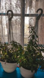 Здам будинок м.Зміїв помісячно та посуточно. фото 21 Здам будинок м.Зміїв помісячно та посуточно. фото 21