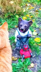 Здам будинок м.Зміїв помісячно та посуточно. фото 25 Здам будинок м.Зміїв помісячно та посуточно. фото 25