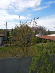 Сдам дачу в поселке Коропов Хутор Змиевской район в дачном кооперативе с выходом к озеру. фото 5 Сдам дачу в поселке Коропов Хутор Змиевской район в дачном кооперативе с выходом к озеру. фото 5