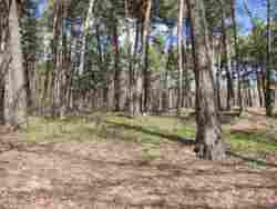 ���� ��� �� ������ ������ �.��������� ��������� ����� ���� 1