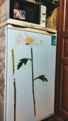 Здам будинок м.Зміїв помісячно та посуточно. фото 17 Здам будинок м.Зміїв помісячно та посуточно. фото 17