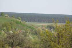 Сдам на летний период дом с.Мохнач фото 10 Сдам на летний период дом с.Мохнач фото 10