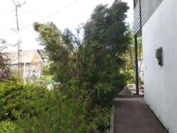 Сдам дачу в поселке Коропов Хутор Змиевской район в дачном кооперативе с выходом к озеру. фото 3 Сдам дачу в поселке Коропов Хутор Змиевской район в дачном кооперативе с выходом к озеру. фото 3