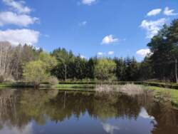 ���� ��� �� ������ ������ �.��������� ��������� ����� ���� 5