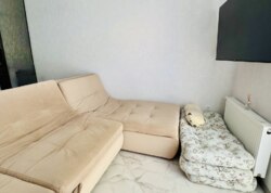 ������������� ������ ���������, �� ����. �������� ���� 8