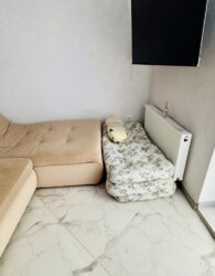 ������������� ������ ���������, �� ����. �������� ���� 26