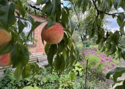 ������������� ������ ������� ������� ���� 4