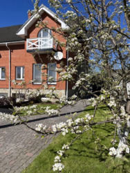 Здається будинок Тернопільська, Тернопіль, Кутківці фото 11 Здається будинок Тернопільська, Тернопіль, Кутківці фото 11