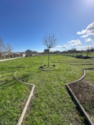 ������ ������� ������� /� �������� ���� 22