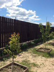 Здається будинок Київська, Обухівський, Нові Безрадичі, Соборная фото 14 Здається будинок Київська, Обухівський, Нові Безрадичі, Соборная фото 14