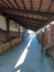   , ,  (),  ., 11, .   6