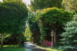 Сдается в аренду дом в Конча-Заспе (Козин) фото 3 Сдается в аренду дом в Конча-Заспе (Козин) фото 3