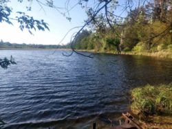 Здам будинок с.Неграші.Тераса,сад,город фото 13 Здам будинок с.Неграші.Тераса,сад,город фото 13