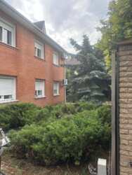 ���� ������� ����� �������.�����,������,���,��� ���� 1