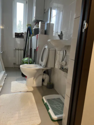 Здам будинок в с.Старі Безрадичі. Альтанка, мангал,гараж, сад, город фото 11 Здам будинок в с.Старі Безрадичі. Альтанка, мангал,гараж, сад, город фото 11