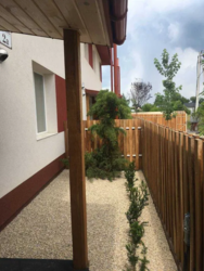 ���� � ������ �������� ���������� �������� ��� ������ � 2-5 ����� � �. ��������. ���� 5