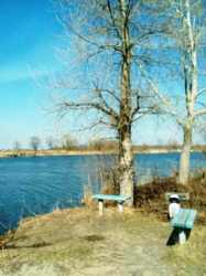 ���� ���� ��� ������� ������ ������, ���� ������(+�����), ���������, �������, ���� 16