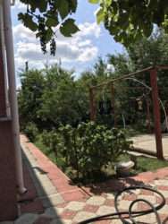 Здам в оренду будинок с.Святопетрівське.Камін,навіс,сад фото 2 Здам в оренду будинок с.Святопетрівське.Камін,навіс,сад фото 2