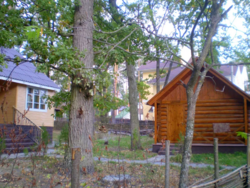 ���� ������� �.�������.��� � ������, �����, ��������, ������ ������� ���� 5