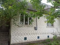 Сдам в аренду домик На берегу р. Десна, Киевская область, с. Рожны, с/т 'Трудовик' фото 8 Сдам в аренду домик На берегу р. Десна, Киевская область, с. Рожны, с/т 'Трудовик' фото 8