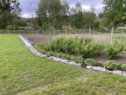 Здам будинок в с.Старі Безрадичі. Альтанка, мангал,гараж, сад, город фото 5 Здам будинок в с.Старі Безрадичі. Альтанка, мангал,гараж, сад, город фото 5