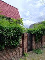 .Здається двух поверхових будинок Зазимье (сади). фото 16 .Здається двух поверхових будинок Зазимье (сади). фото 16