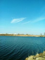 ���� ���� ��� ������� ������ ������, ���� ������(+�����), ���������, �������, ���� 12