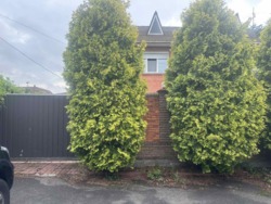 ���� ������� ����� �������.�����,������,���,��� ���� 12