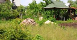 ���� ���� ��� ������� ������ ������, ���� ������(+�����), ���������, �������, ���� 4