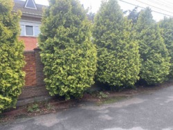 ���� ������� ����� �������.�����,������,���,��� ���� 13