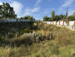 Здам будинок с.Гвоздів. Камін,газ, 18 соток фото 2 Здам будинок с.Гвоздів. Камін,газ, 18 соток фото 2