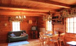 ���� ���� ��� ������� ������ ������, ���� ������(+�����), ���������, �������, ���� 6