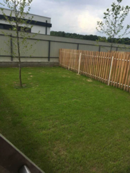 ���� � ������ �������� ���������� �������� ��� ������ � 2-5 ����� � �. ��������. ���� 6