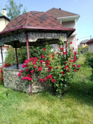 ���� � ������ ��� �� ����� ���������� �.�������,���������� �-� ���� 5