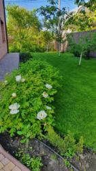 �� ��� ��� ����� 3-4���. 11 ��. �������������� ������, ������� �����,�.�������� ���� 10