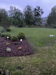 Здам будинок в с.Старі Безрадичі. Альтанка, мангал,гараж, сад, город фото 10 Здам будинок в с.Старі Безрадичі. Альтанка, мангал,гараж, сад, город фото 10