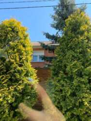 ���� ������� ����� �������.�����,������,���,��� ���� 6