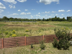 Здам будинок в Макарові.Гараж,тепла,підлога,9 соток фото 11 Здам будинок в Макарові.Гараж,тепла,підлога,9 соток фото 11