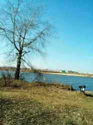 ���� ���� ��� ������� ������ ������, ���� ������(+�����), ���������, �������, ���� 13