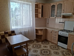 Здам в оренду будинок с.Святопетрівське.Камін,навіс,сад фото 9 Здам в оренду будинок с.Святопетрівське.Камін,навіс,сад фото 9