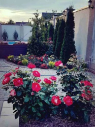 Здається будинок Харківська, Харків, Шевченківський, АЛЕКСЕЕВКА фото 5 Здається будинок Харківська, Харків, Шевченківський, АЛЕКСЕЕВКА фото 5